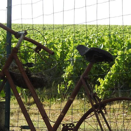 エペルネー Au Coeur Des Vignes Bed & Breakfast エクステリア 写真