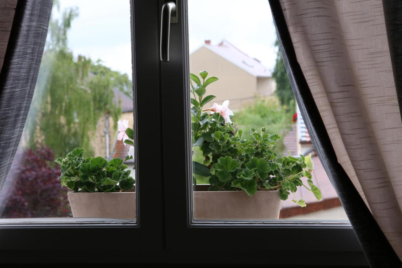 エペルネー Au Coeur Des Vignes Bed & Breakfast エクステリア 写真